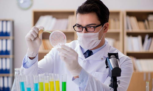 中国生物合成人乳寡糖技术领跑世界，恒鲁生物获华耀资本战略投资助力技术推广