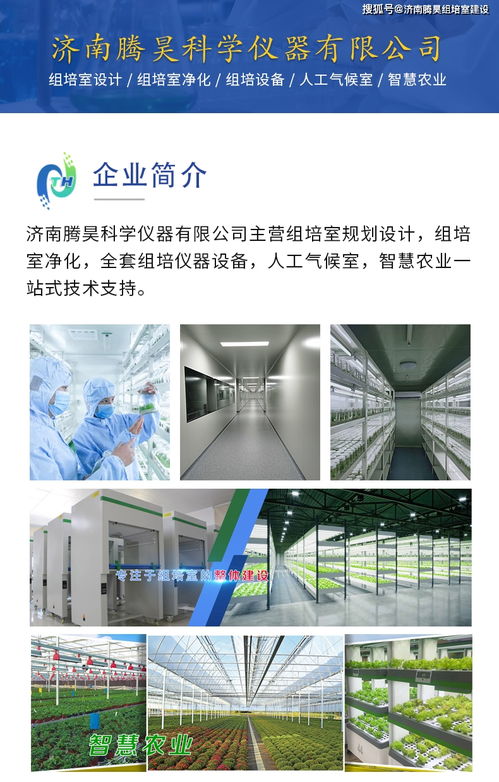 马铃薯组培苗与微型薯快繁技术 渭源与定西组培室的技术推广服务