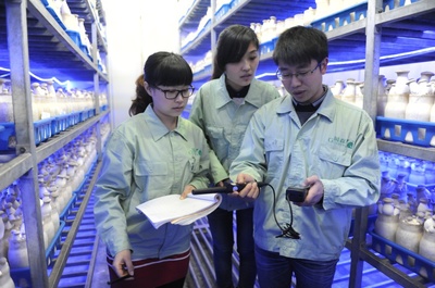 产业服务与技术推广服务 驱动经济高质量发展的双引擎