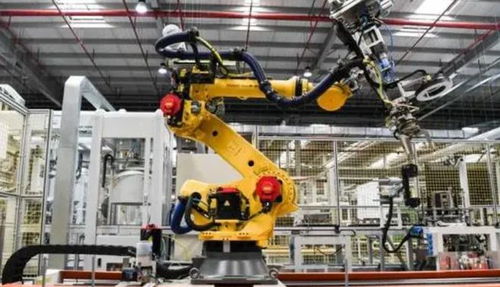 中国果断取消千亿订单，下达逐客令，一颗螺丝都不要